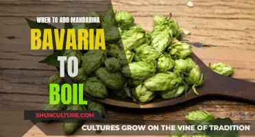 The Perfect Time to Add Mandarina Bavaria to Your Boil