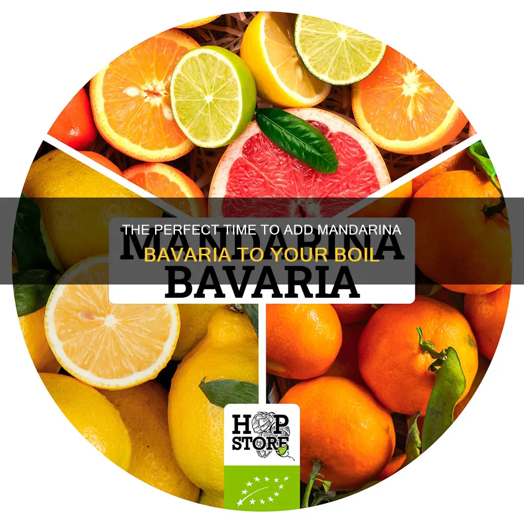 when to add mandarina bavaria to boil