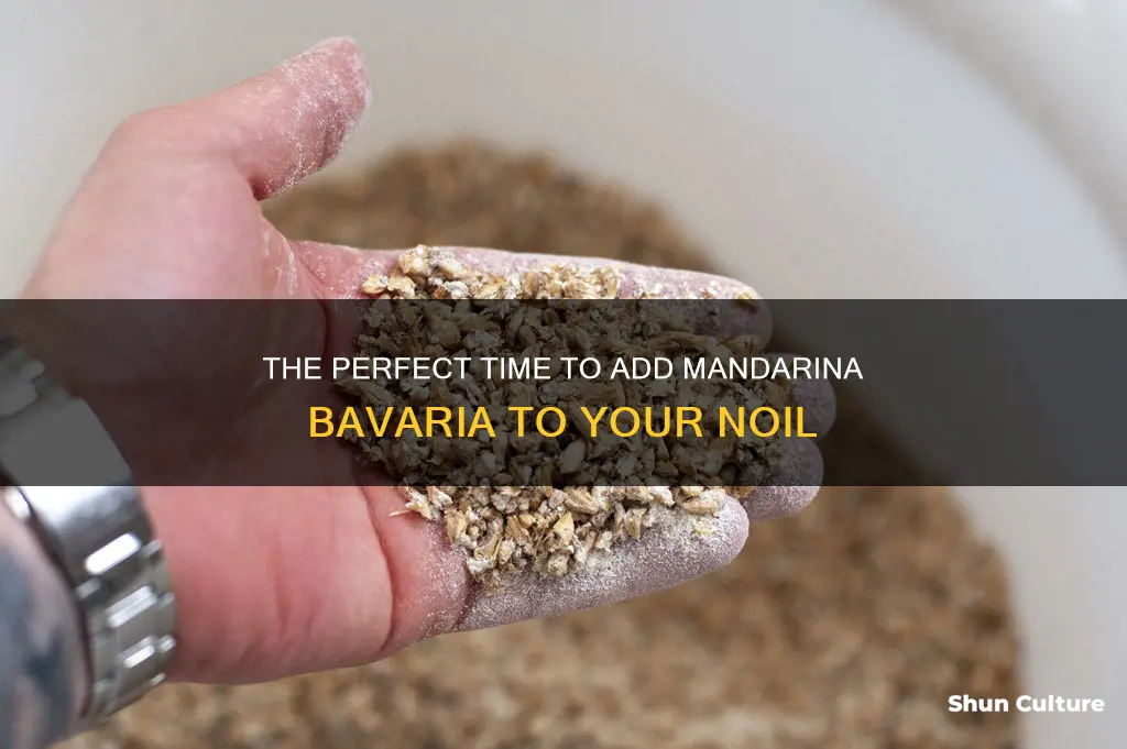 when to add mandarina bavaria to noil