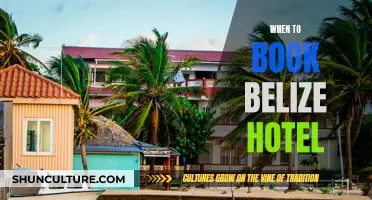 Belize Hotel Booking: When's Best?