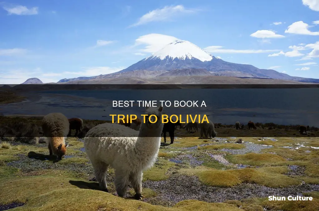 when to book for bolivia