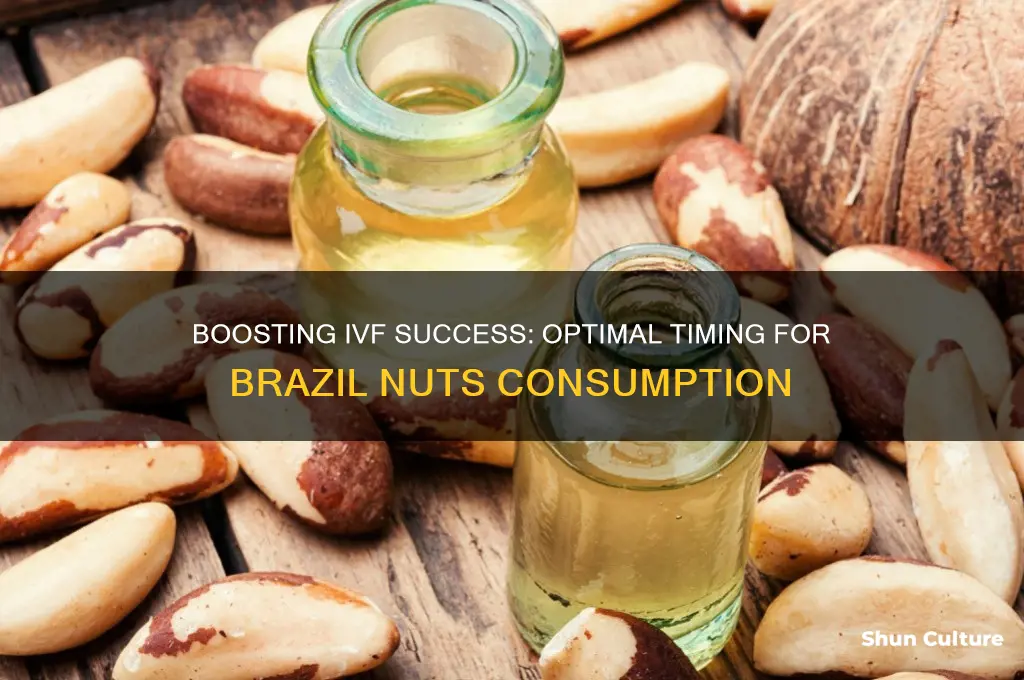 when to eat brazil nuts during ivf