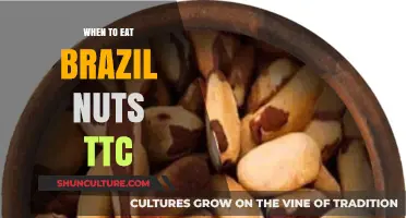 Boosting Fertility: Optimal Timing for Brazil Nuts During TTC Journey