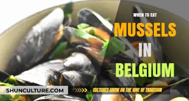 Savoring the Best: A Guide to Mussel Season in Belgium
