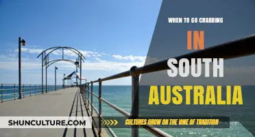 Best Crabbing Seasons and Spots in South Australia: A Guide