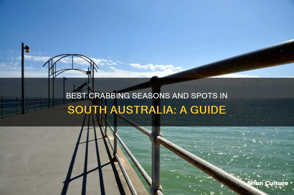 when to go crabbing in south australia