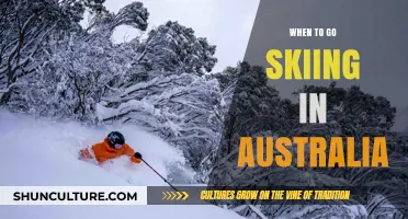 Best Times for Skiing in Australia: Seasonal Guide for Snow Lovers