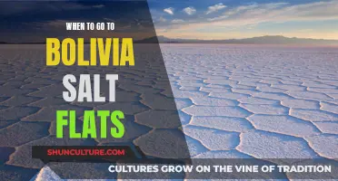 Best Time to Witness Bolivia's Salt Flats