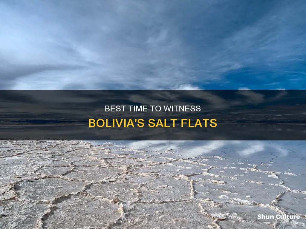 when to go to bolivia salt flats