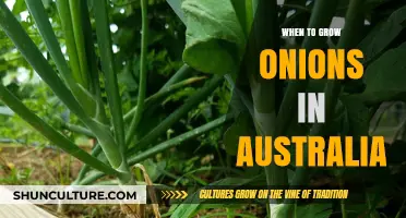 Onion Growing Guide for Australian Gardens