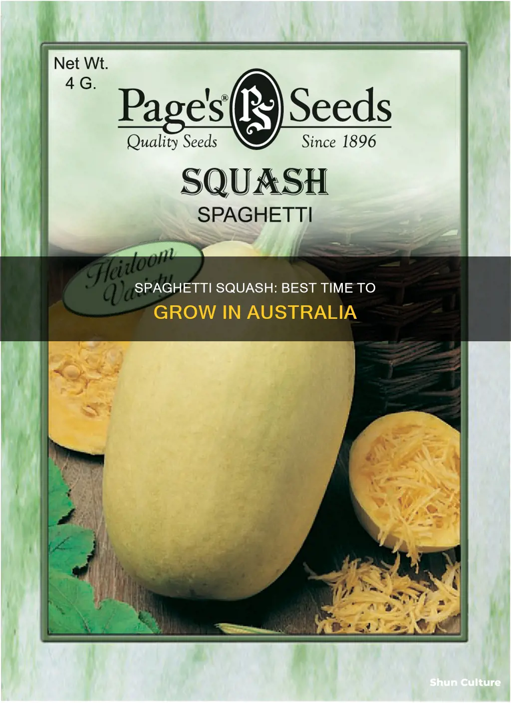 when to grow spaghetti squash in australia