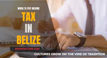 Belize Income Tax Payment Guide