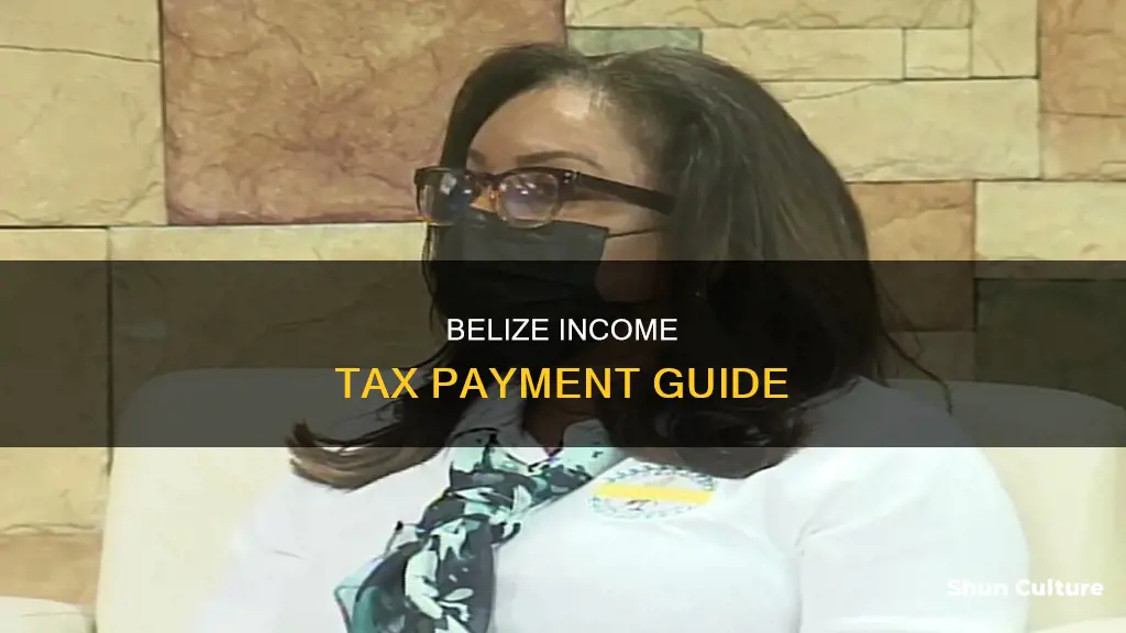 when to pay income tax in belize