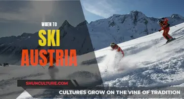 Austria's Alpine Adventure: The Ultimate Ski Season Guide