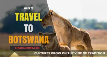Best Time to Explore Botswana: Seasons, Wildlife, and Travel Tips