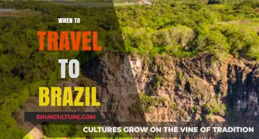 Best Time to Visit Brazil: Weather, Festivals, and Travel Tips