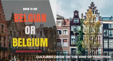 Navigating the Nuances: When to Use 'Belgian' or 'Belgium