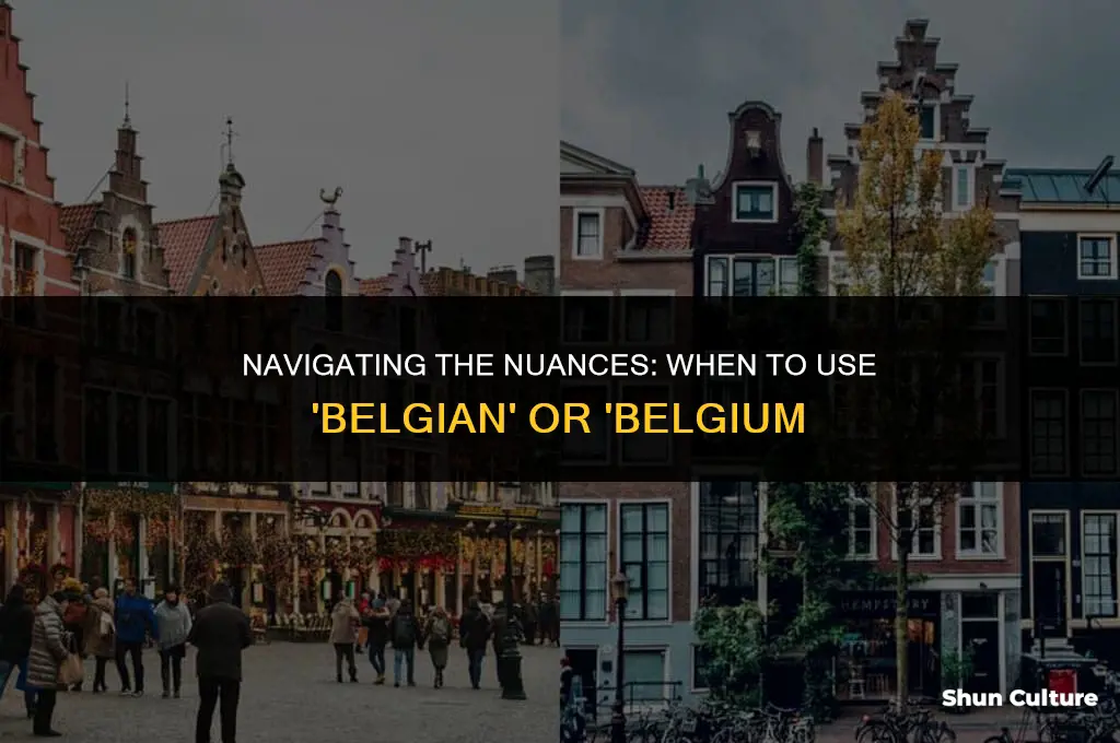 when to use belgian or belgium