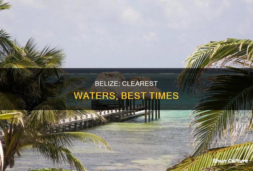 when to visit belize for prettiest water