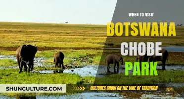 Best Time to Explore Botswana's Chobe National Park: A Guide