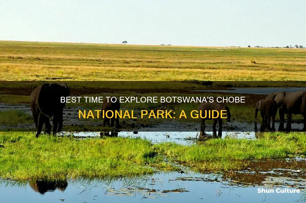 when to visit botswana chobe park