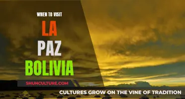 Best Time to Experience La Paz, Bolivia