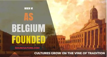 Unraveling Belgium's Origins: A Journey Through Time