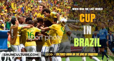 Revisiting Brazil's Last World Cup: A Nostalgic Journey to 2014