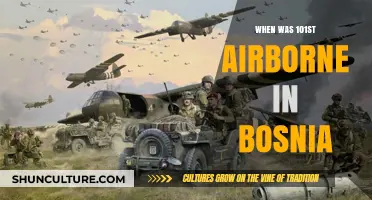 101st Airborne Division's Deployment in Bosnia: A Historical Overview