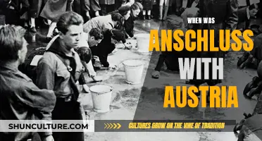 The Day Austria Signed Its Fate: The Anschluss