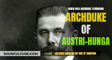 Archduke Ferdinand: Becoming Austria-Hungary's Monarch