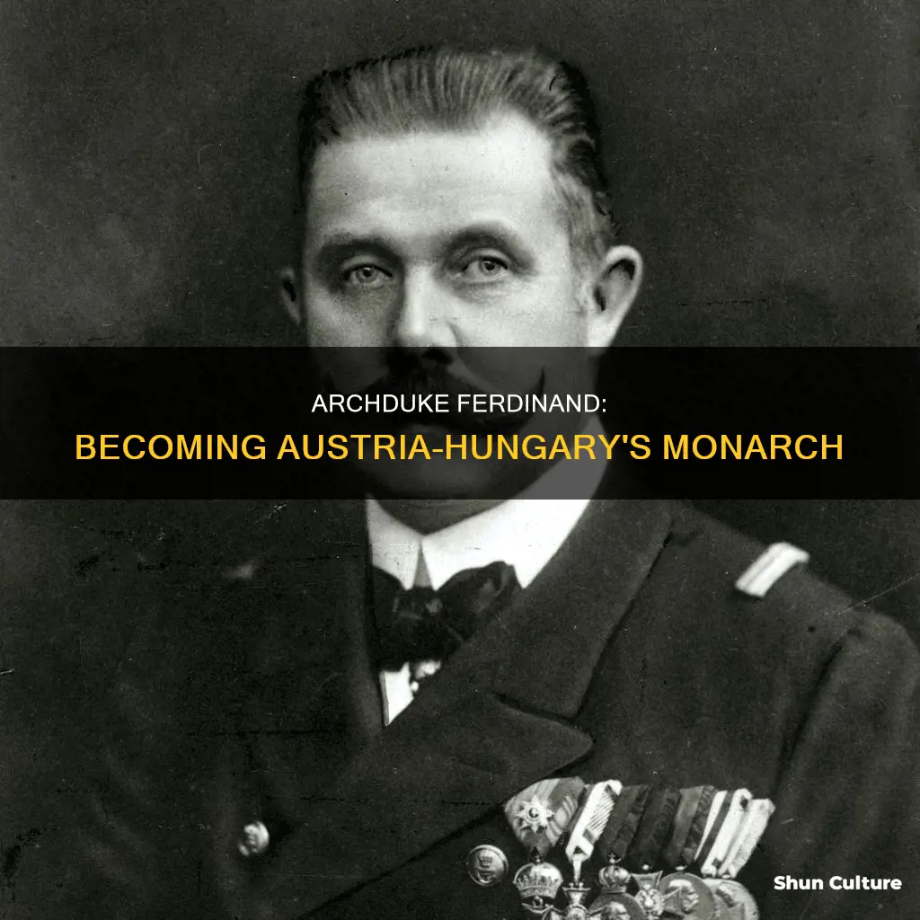 when was archduke ferdinand archduke of austri-hungary