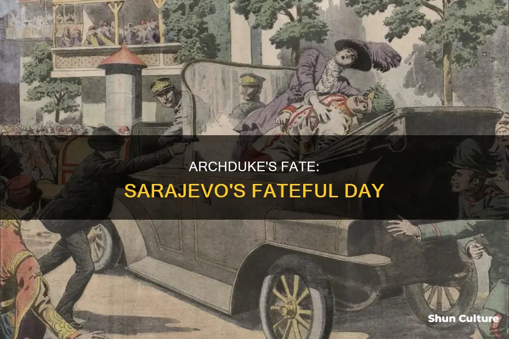 when was archduke francis ferdinand of austria assasinated in sarajevo