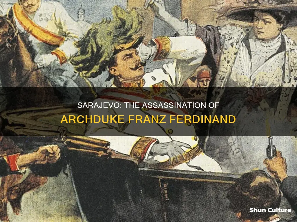 when was archduke francis ferdinand of austria assasinated in sarajevo