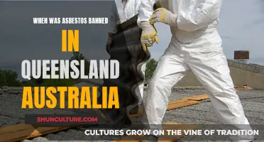 Asbestos Ban in Queensland: Timeline and Impact