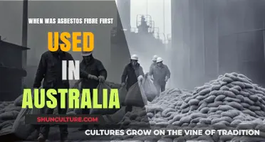Australia's Asbestos History: Tracing the First Use of Asbestos Fibre