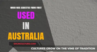 Asbestos Fibro in Australia: Origins and Early Usage Explained