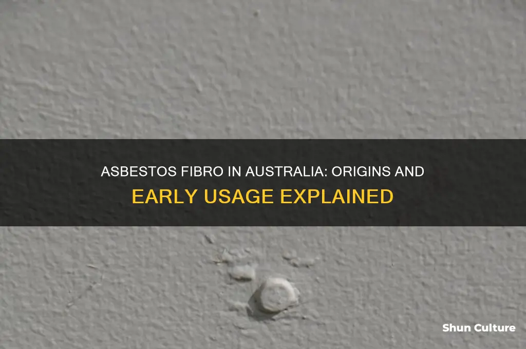 when was asbestos fibro first used in australia
