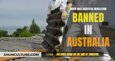 Asbestos Insulation Ban: Australia's Timeline and Action