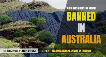 Asbestos Mining: Australia's Ban Timeline