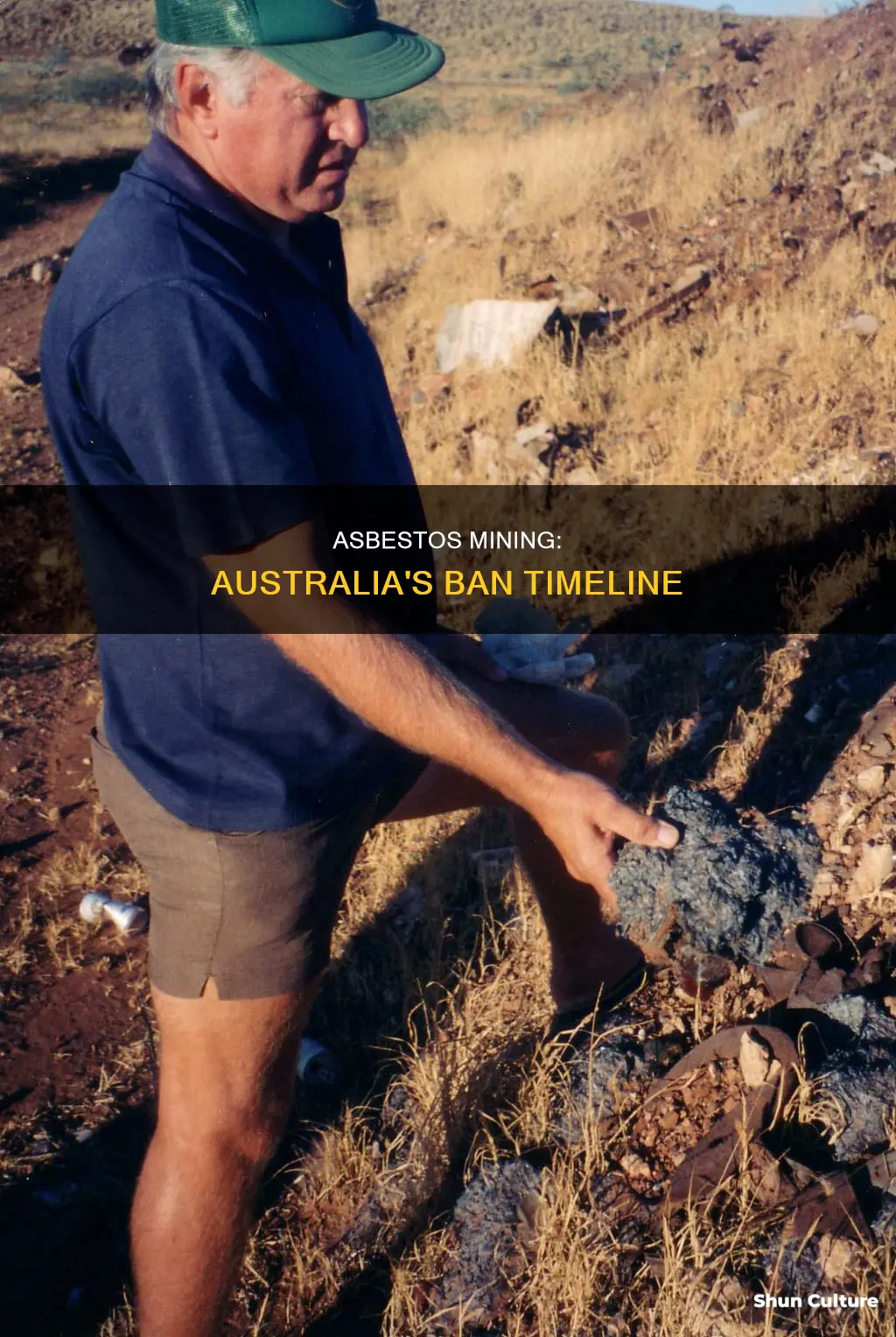 when was asbestos mining banned in australia