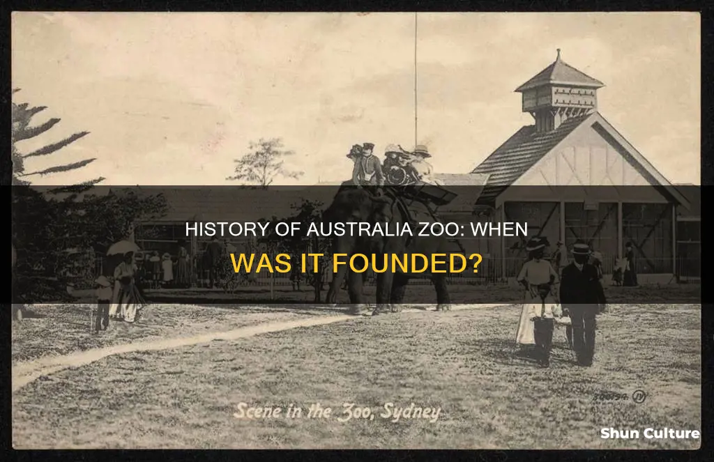 when was australia zoo founded