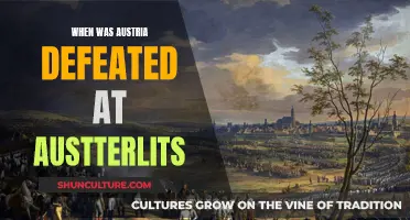 Austria's Austerlitz Defeat: When and Why?