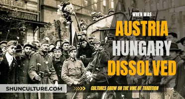 The End of Austria-Hungary: A Historical Perspective