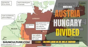 The End of Austria-Hungary: A Nation Divided