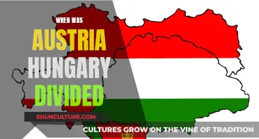 The End of Austria-Hungary: A Historical Divide