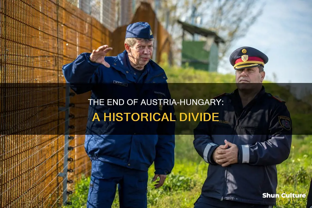 when was austria hungary divided