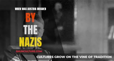 Austria's Nazi Invasion: A Dark Chapter Revisited