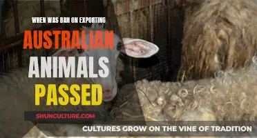 Australian Animal Export Ban: When Did It Begin?