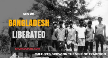 Bangladesh's Liberation: A Historic Journey to Independence in 1971
